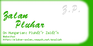 zalan pluhar business card